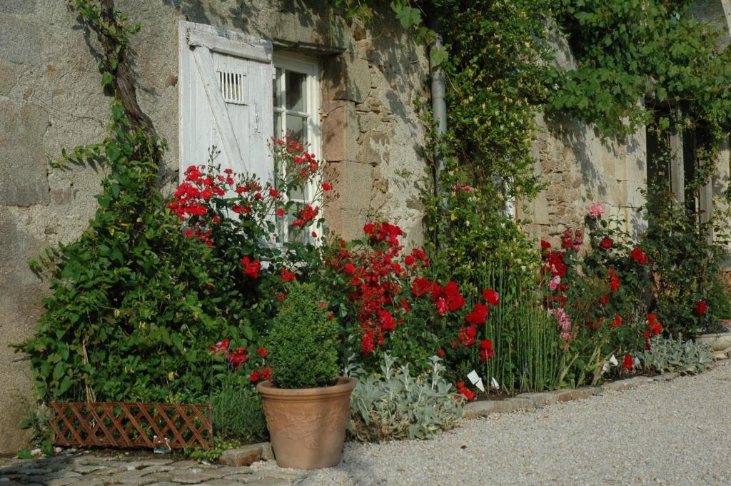 Chateau De L'Oiseliniere Bed & Breakfast Gorges  Exterior foto