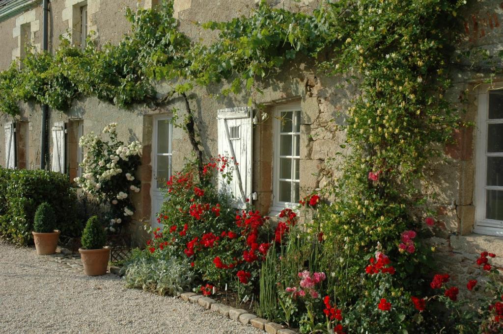 Chateau De L'Oiseliniere Bed & Breakfast Gorges  Exterior foto