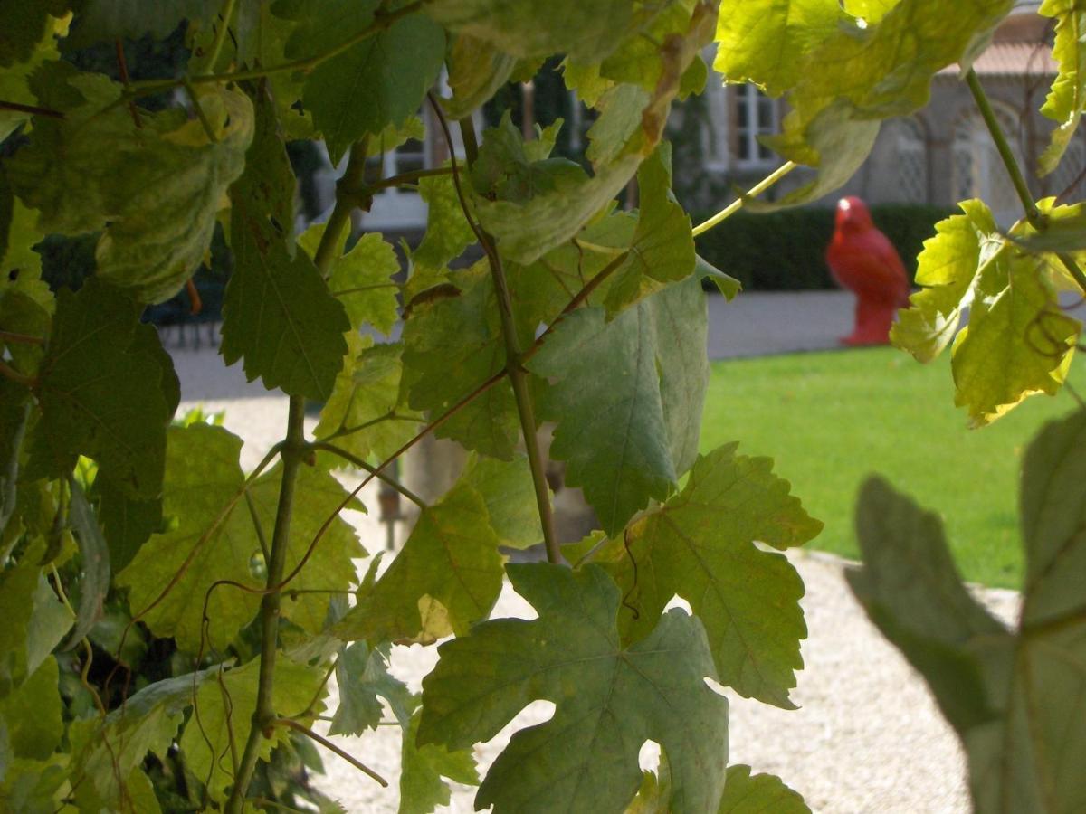 Chateau De L'Oiseliniere Bed & Breakfast Gorges  Exterior foto